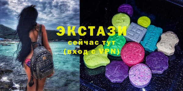 мдпв Елабуга