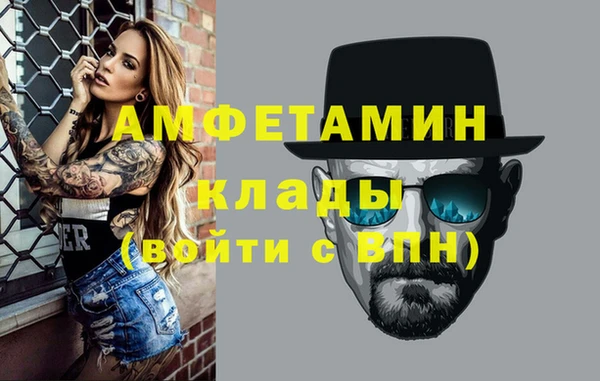 стаф Ельня