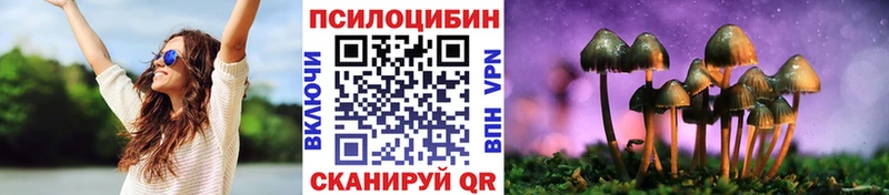Псилоцибиновые грибы Cubensis  Десногорск 